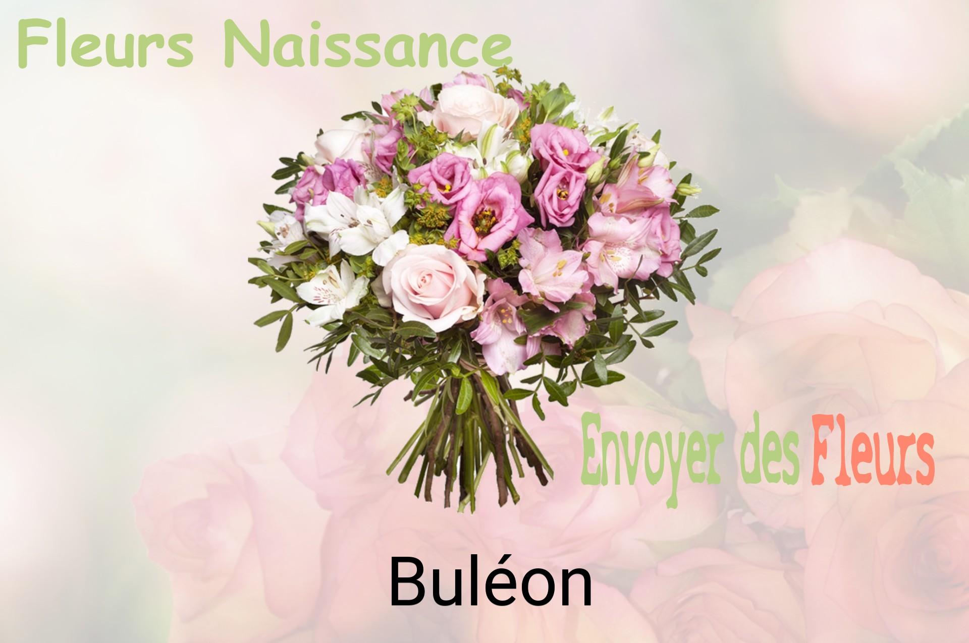Bouquet de fleurs de naissance livré à Buléon